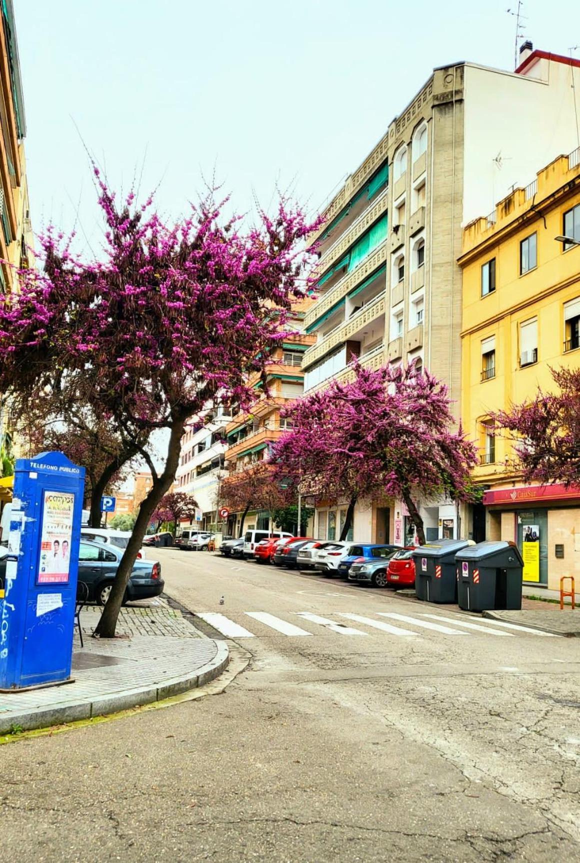 Vintage Apartment Cordoba Ngoại thất bức ảnh